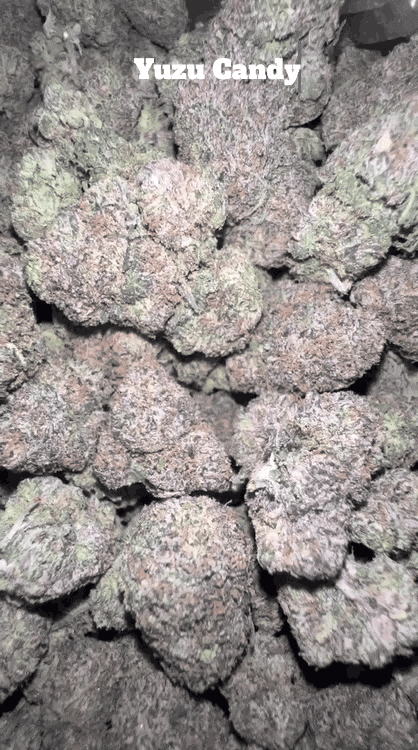 Top Shelf Exotics - Imported Loose Flower