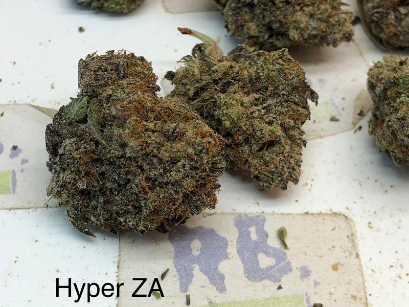Cali Mids SPECIALS