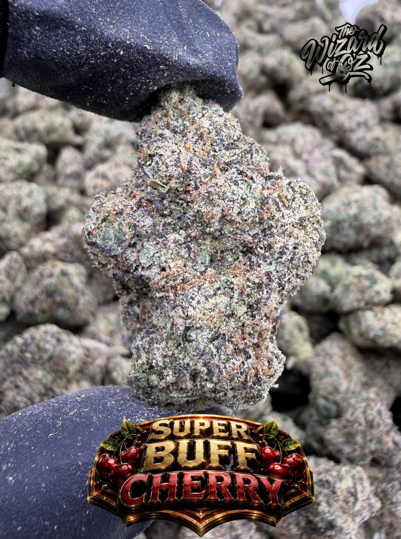 Super Buff Cherry