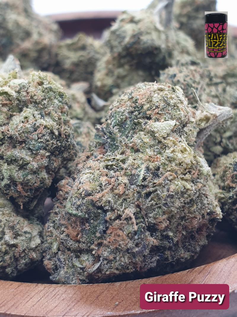 [Exclusive] Top Shelf Cali