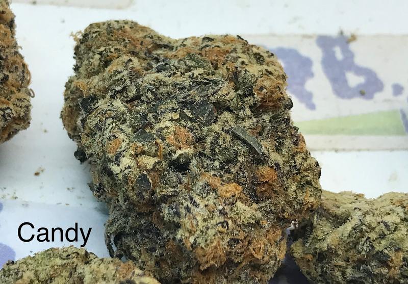 Gas Candy Mid Shelf Cali
