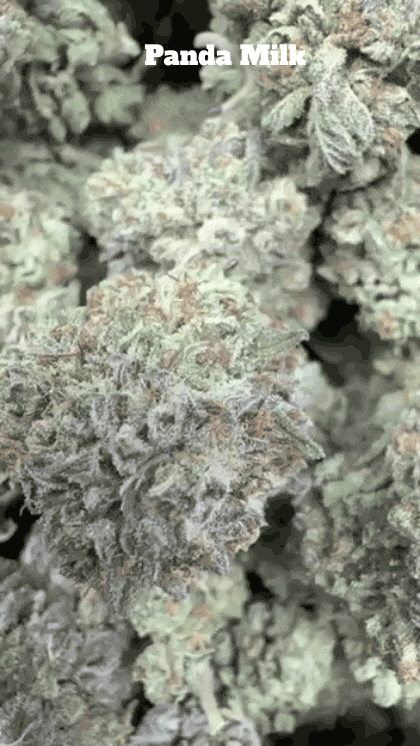 Cali Mids - Loose Import 🇺🇸