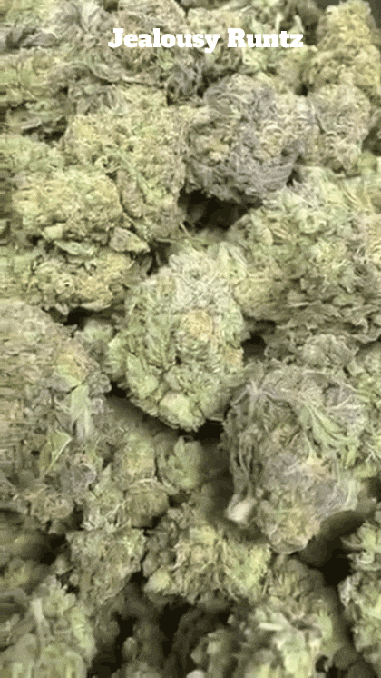 Cali Mids - Loose Import 🇺🇸