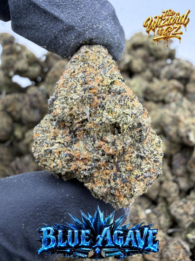 Cookies Strain: Blue Agave