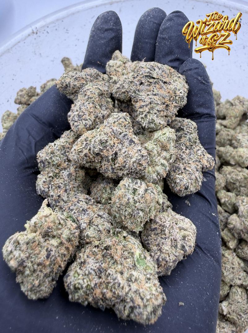 Versace x Lemon Cherry Gelato