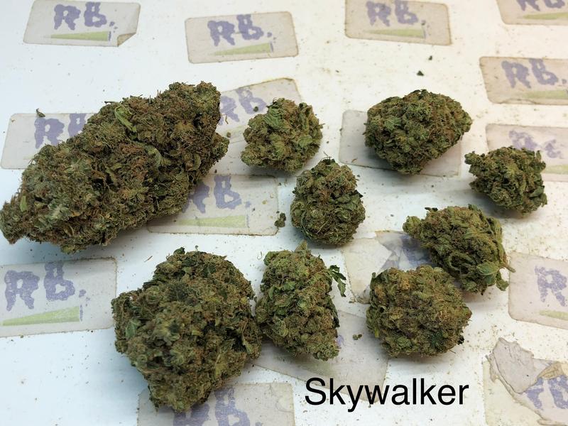 SKYWALKER OG