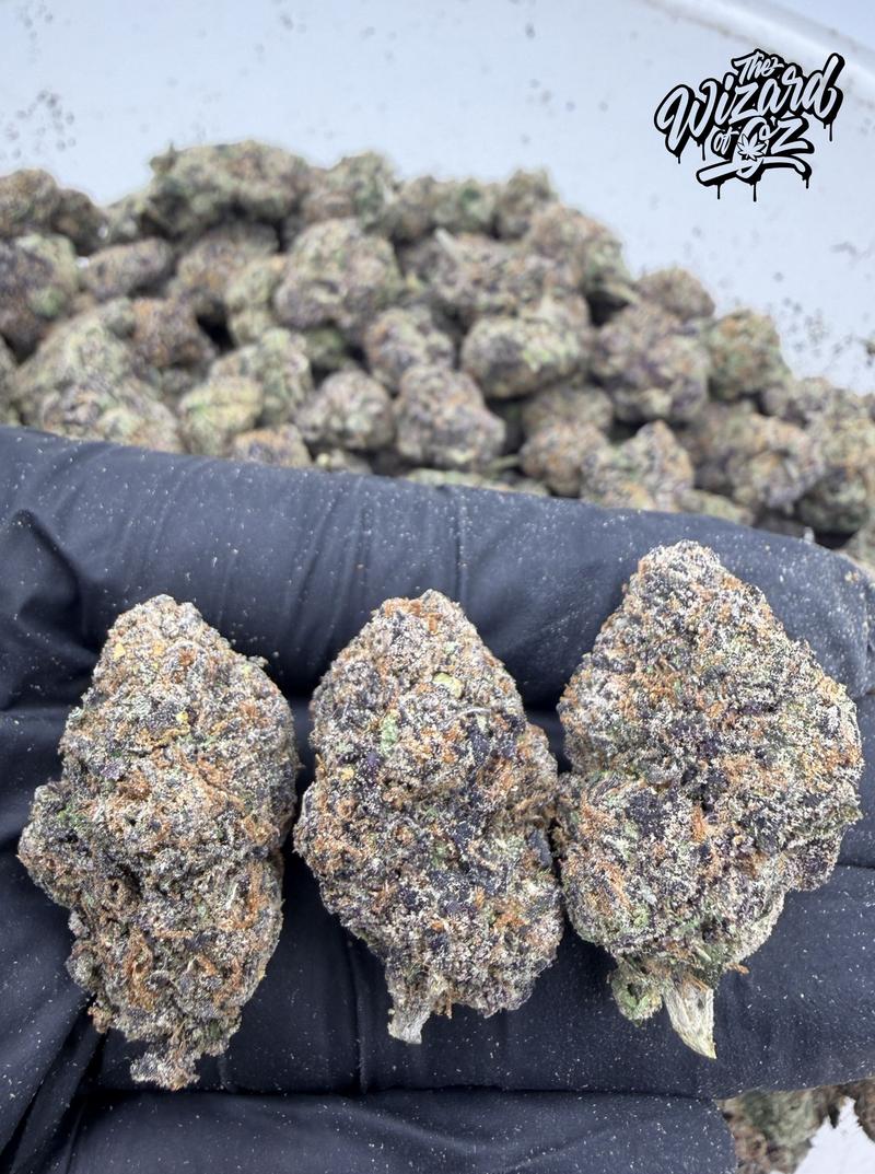 Dope Boyz Strain: Rainbow 41