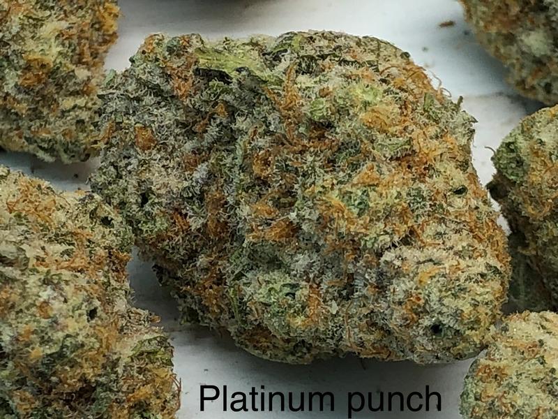 Platinum Punch Mid shelf cali
