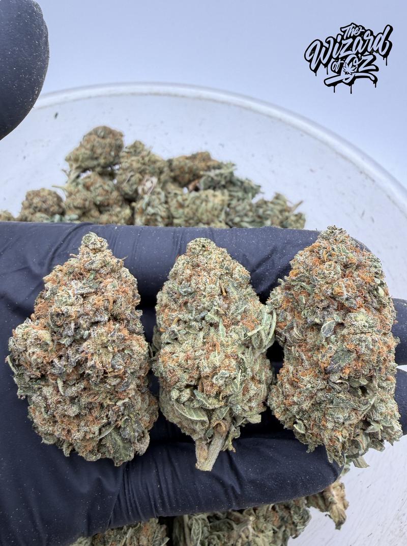 Star Dawg ⛽ 🌟