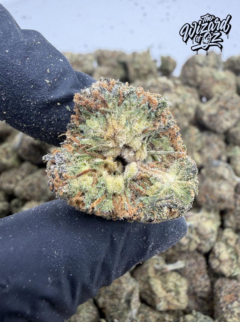 Teds Budz Strain: King Neptune