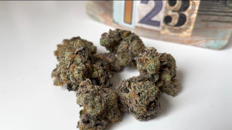 ‘Avant 123’ Deep East Farms x Wizard Trees