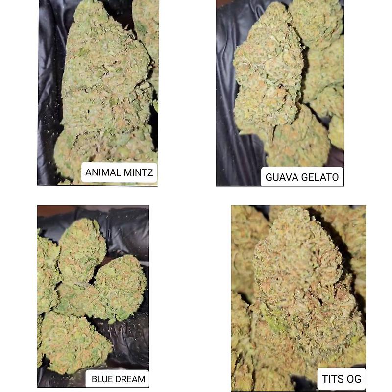 MIX 4 STRAINS