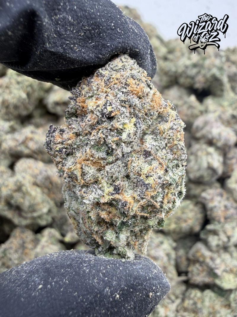 El Chapo OG