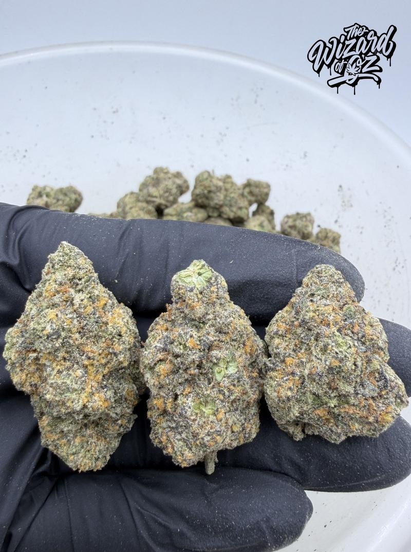 King's Kush