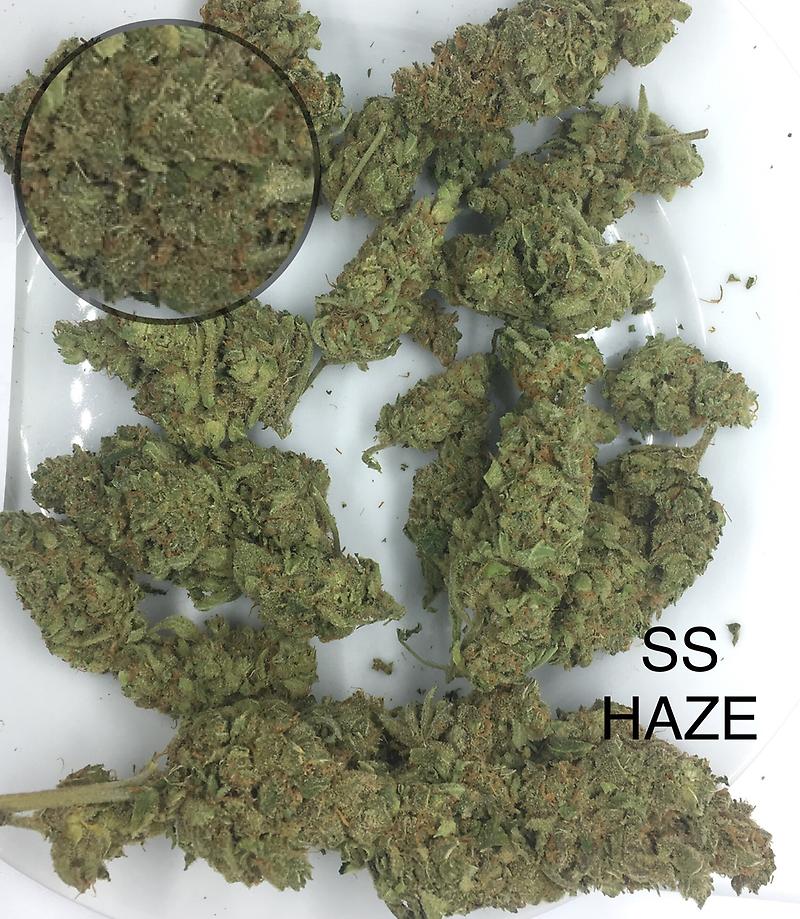 SUPER SILVER HAZE (DUTCH)