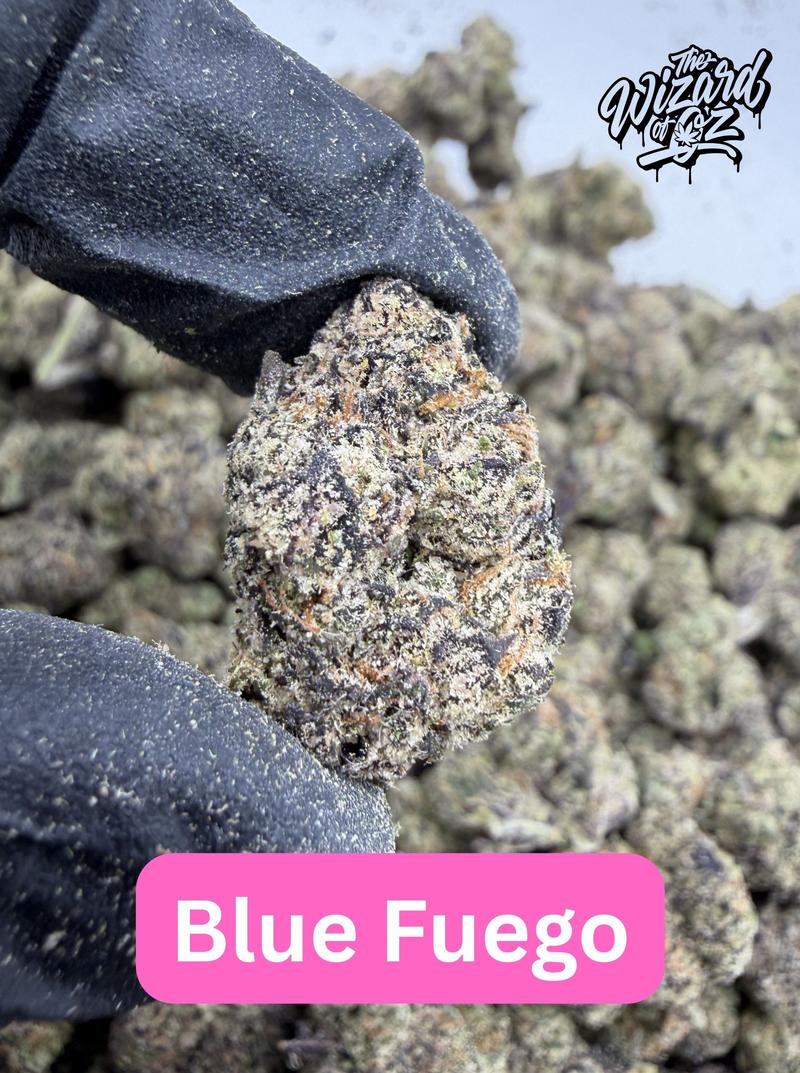 Blue Fuego