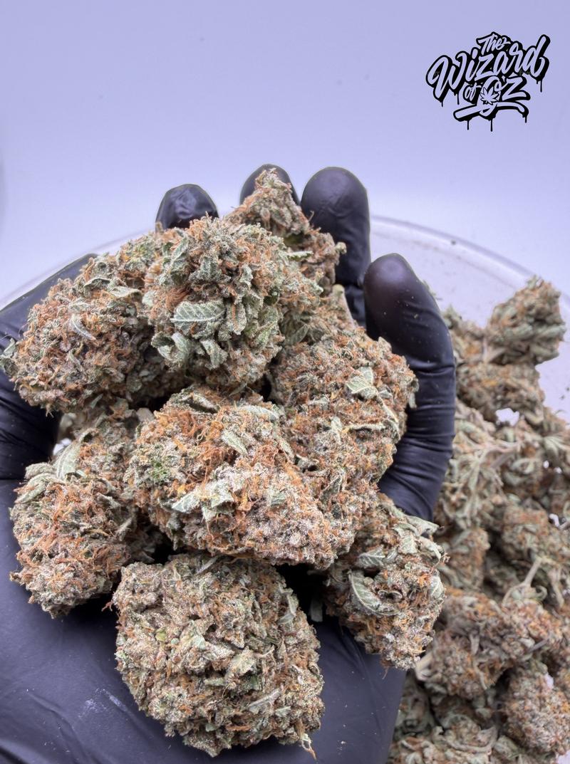 Star Dawg ⛽ 🌟
