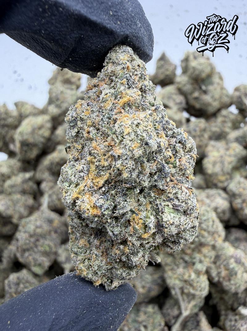 King's Kush
