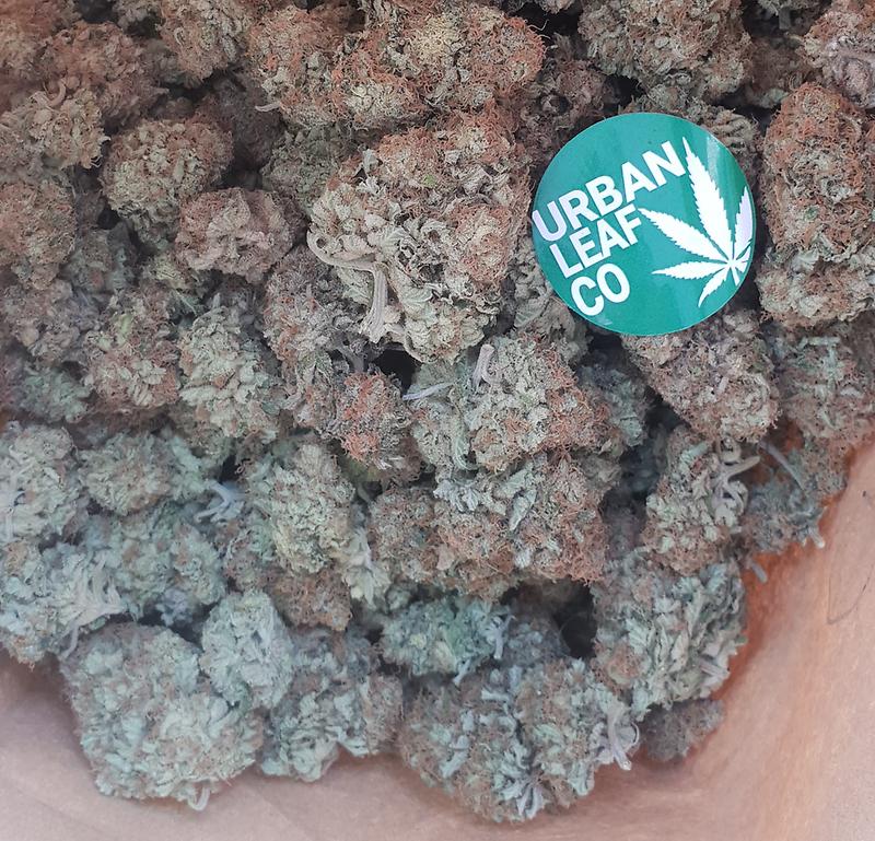 **CRITICAL JACK - (FREE RM 1ST CLASS DISPATCH)**