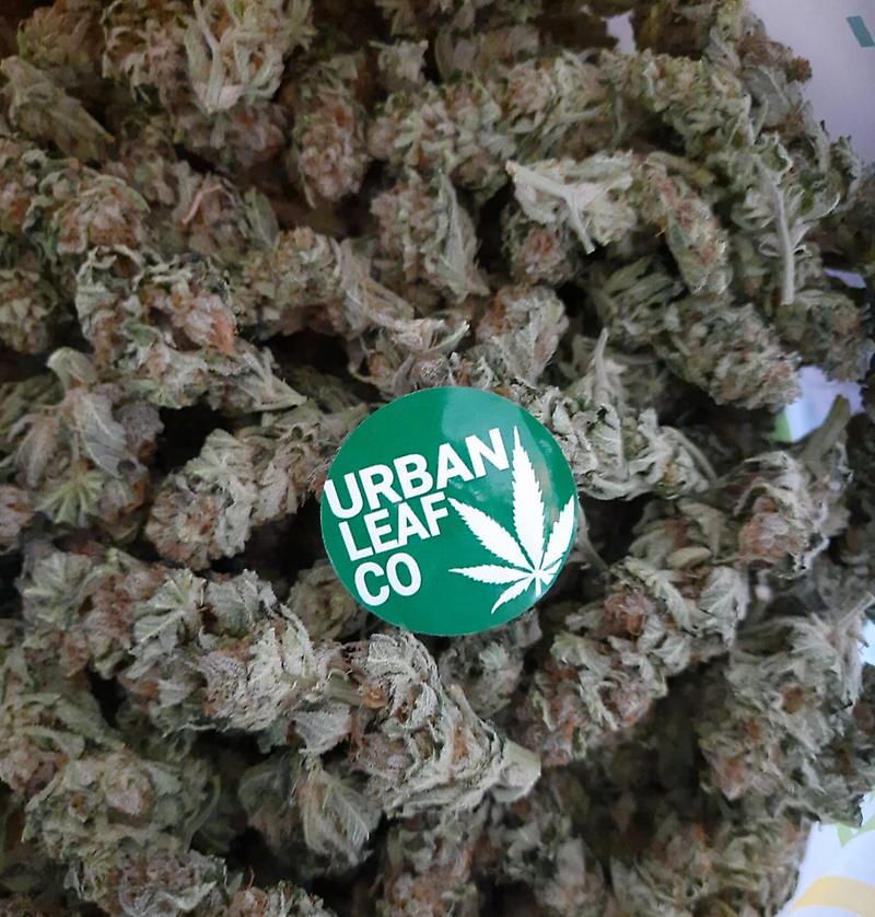 **BUBBLEGUM - (FREE ROYAL MAIL 1ST CLASS SHIPPING)**