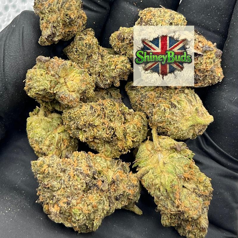 🇺🇸 Brainwash CONNECTED CANNABIS