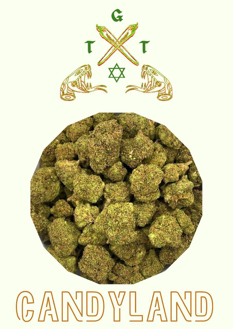 PREMIUM CANDYLAND *FREE SHIPPING*