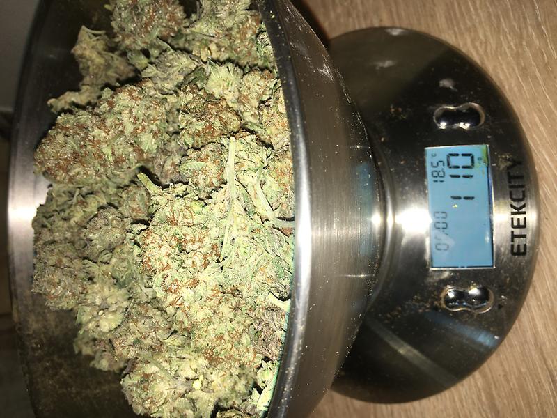 STARDAWG - VERY BIG BUDS - STANKY STANKY