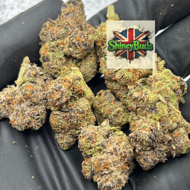 🇺🇸 Lulu Lemon CONNECTED CANNABIS