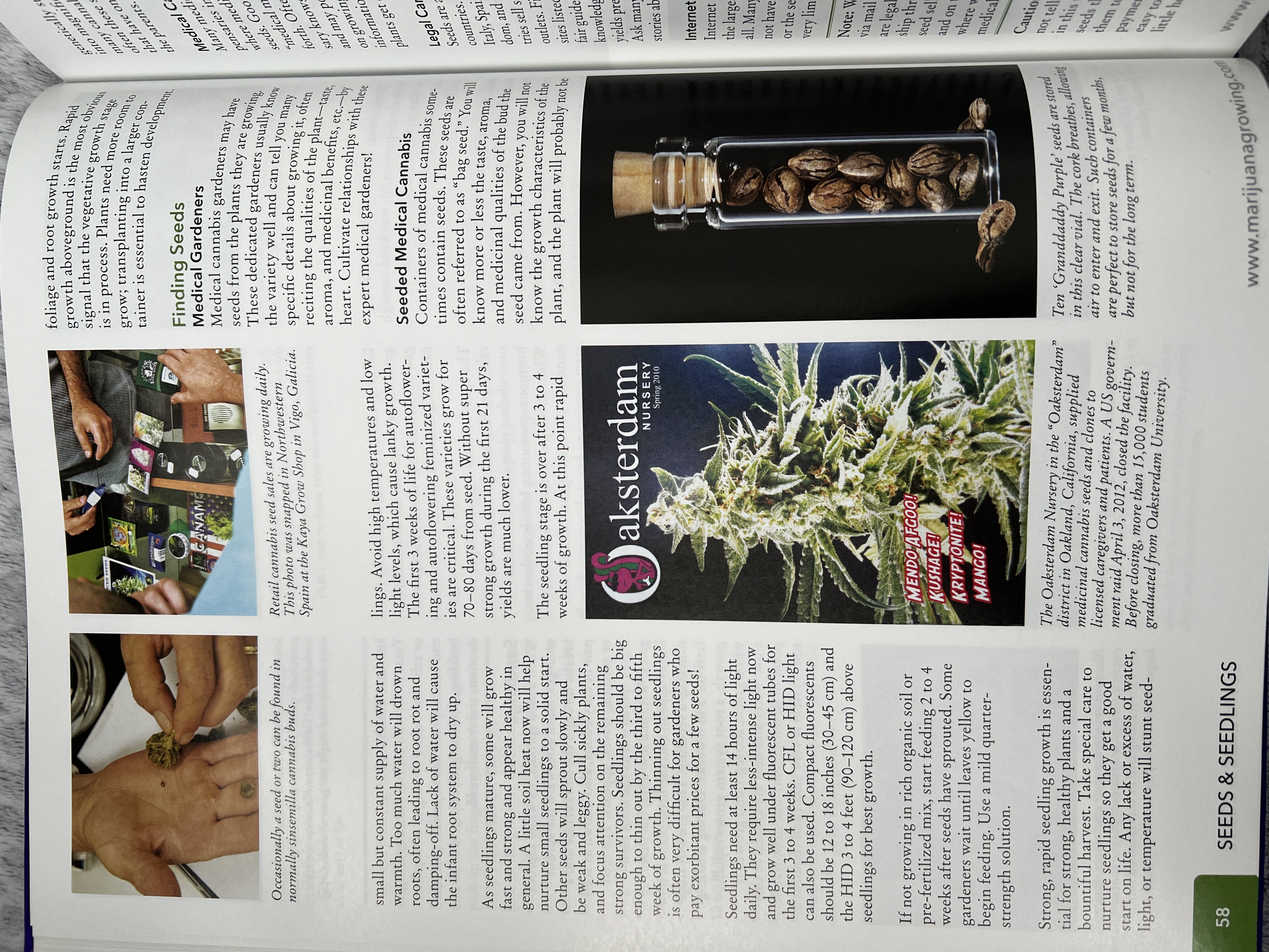 The Cannabis Encyclopaedia by J.C