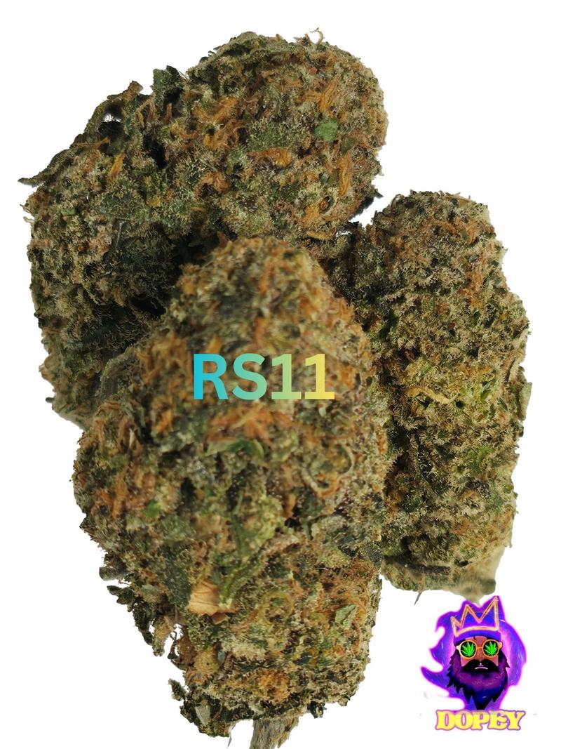 UK BUD'S