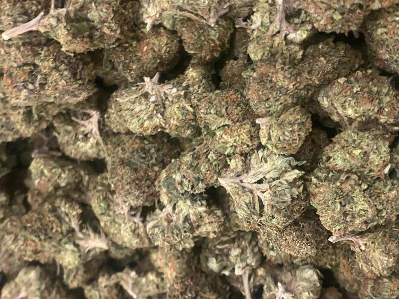 California Mids (FREE T24)