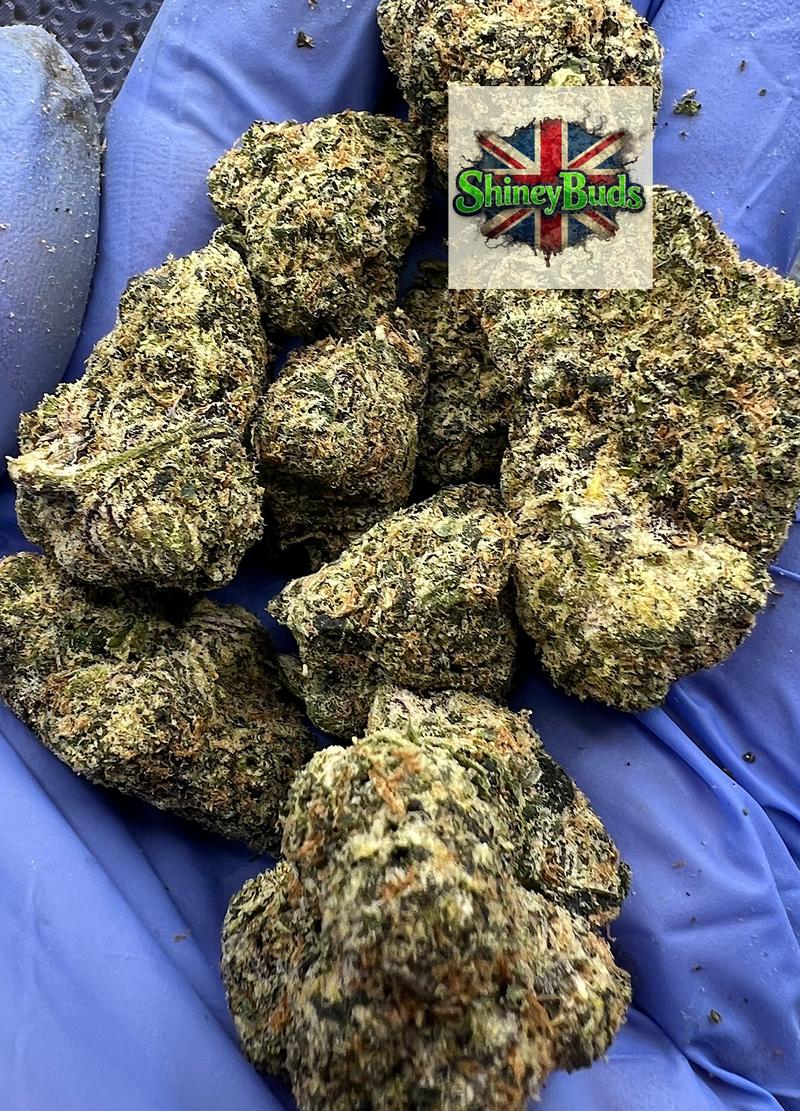 🇺🇸 White Cherry Gelato (Tops)
