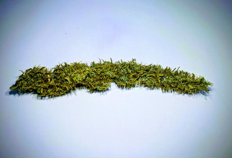 Organic Golden Tiger