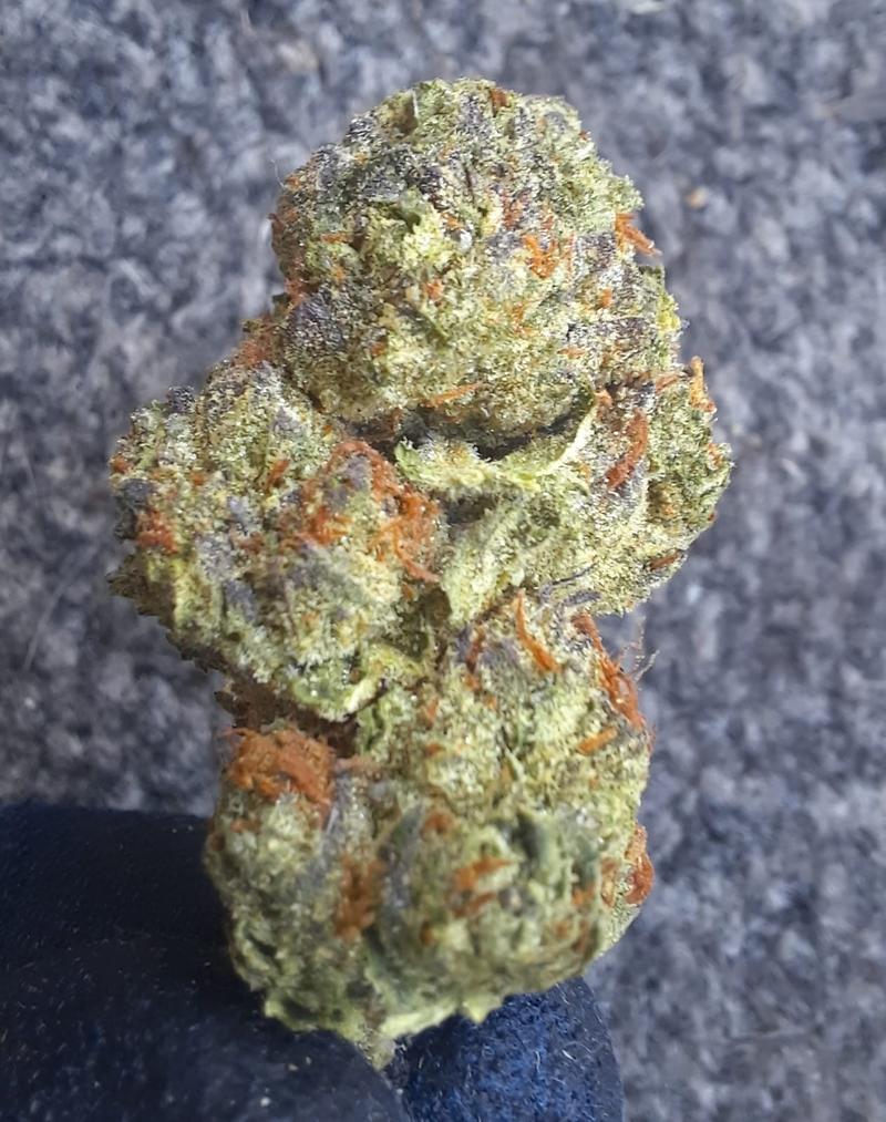 BLUE ZLUSHIE - USA IMPORT