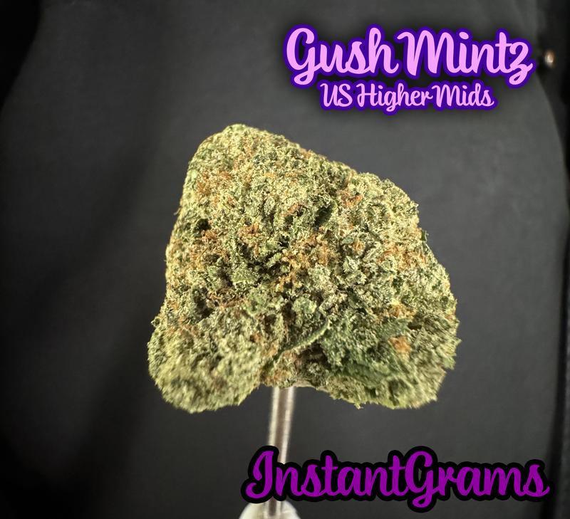 [IMPORT] 🇺🇸 Higher Mids