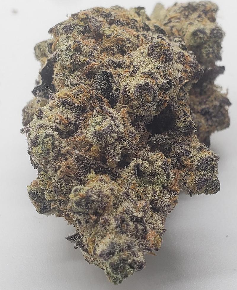 PINK RUNTZ (HYBRID)