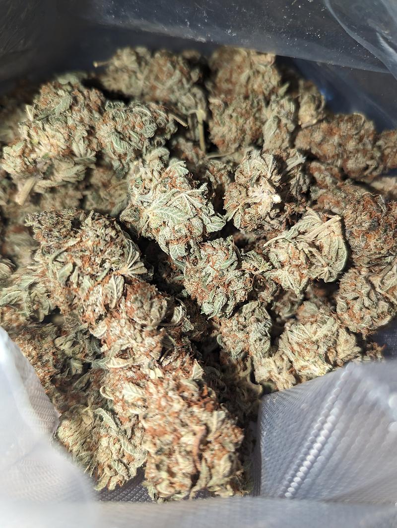 Santa's Stardawg 25% THC