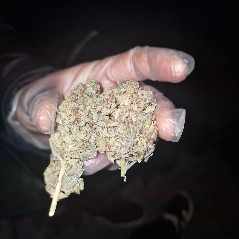 Purple Cookies 😈🍪