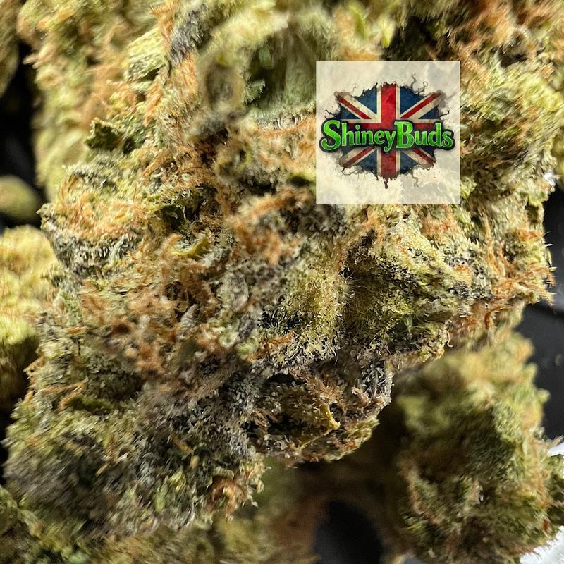 🇺🇸 Death Star