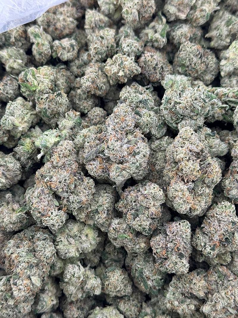 BLACK RUNTS TOPSHELF FLOWER