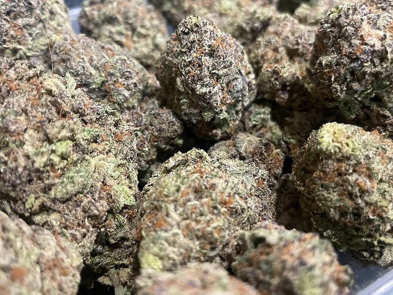 Zombie OG Canadian Import