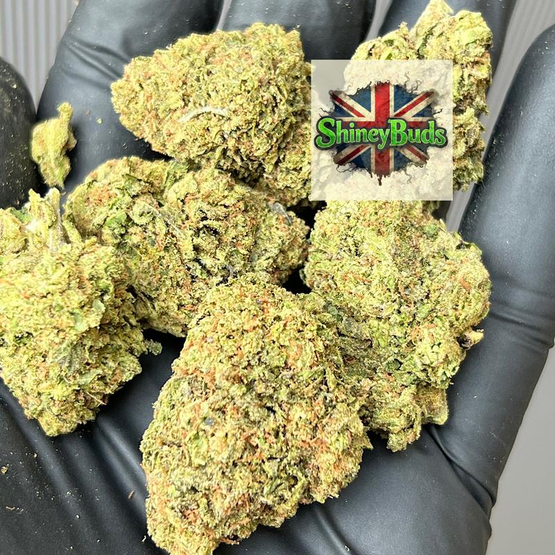 🇬🇧 Lemon Cherry Gumbo
