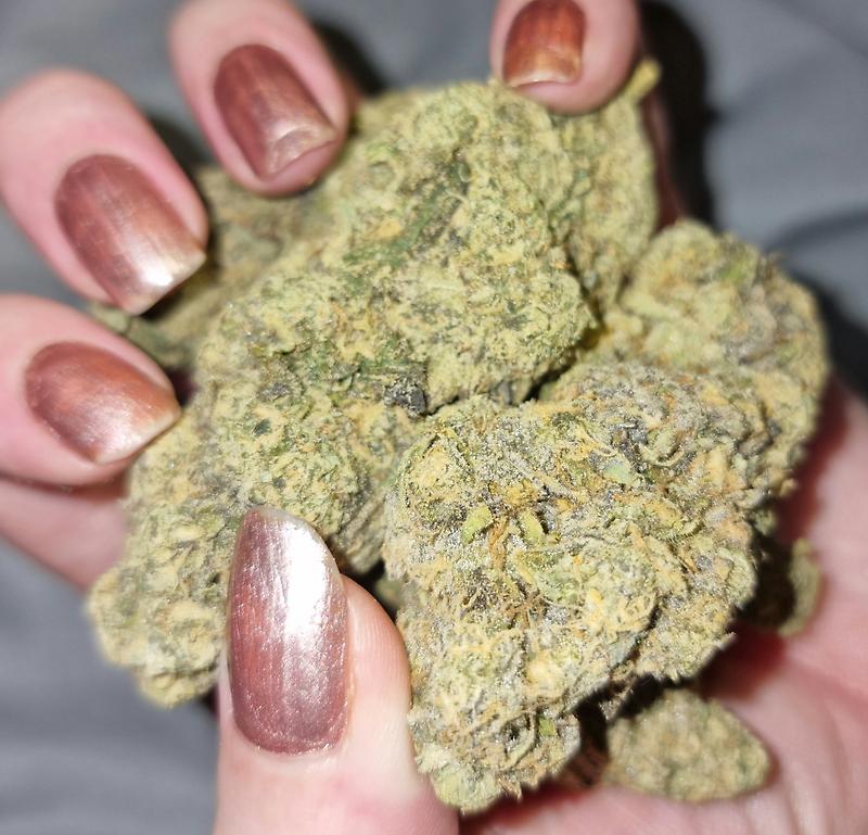 Gelato AKA Larry Bird