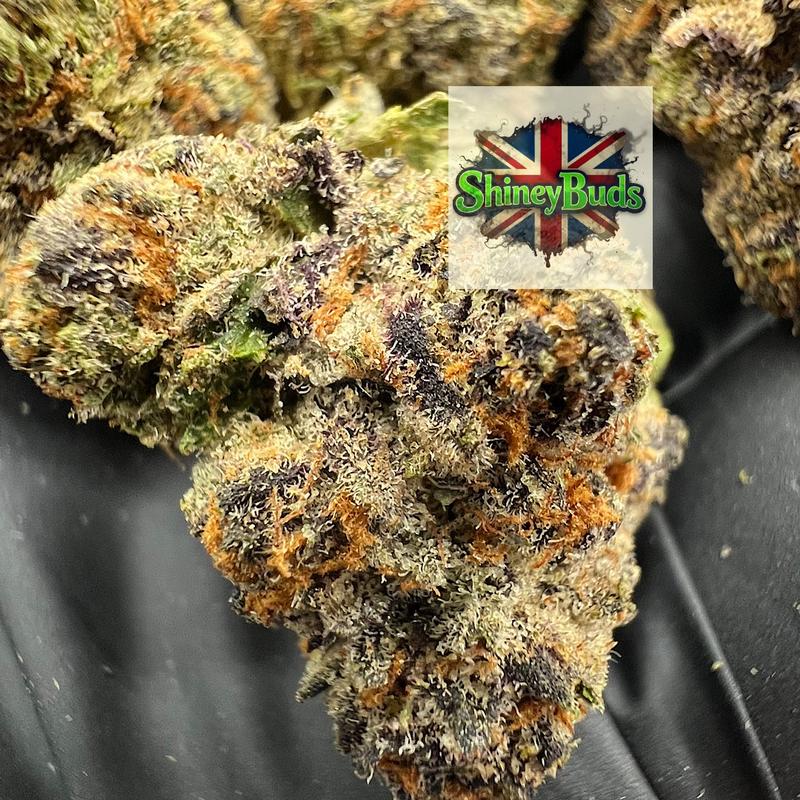 🇺🇸 Lulu Lemon CONNECTED CANNABIS
