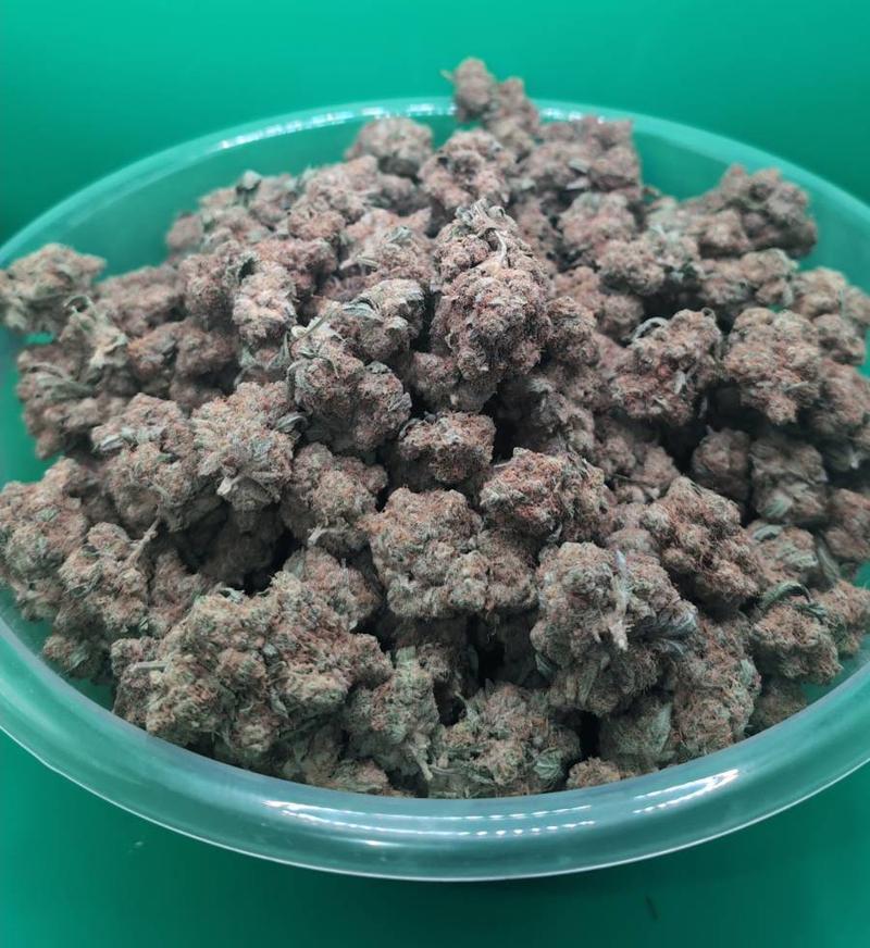 RAMBO WHITE ZLUSHIE Skunk - PREMIUM