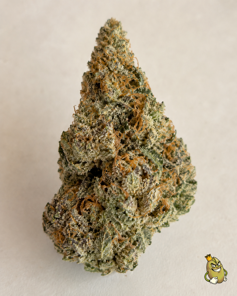 MOROCCAN CHERRIES - TOPSHELF £125 AN OUNCE
