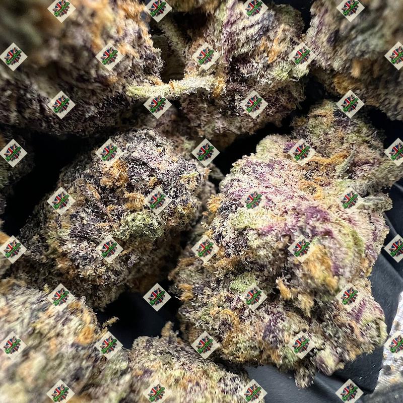 🇺🇸 Dark Web By CONNECTED CANNABIS
