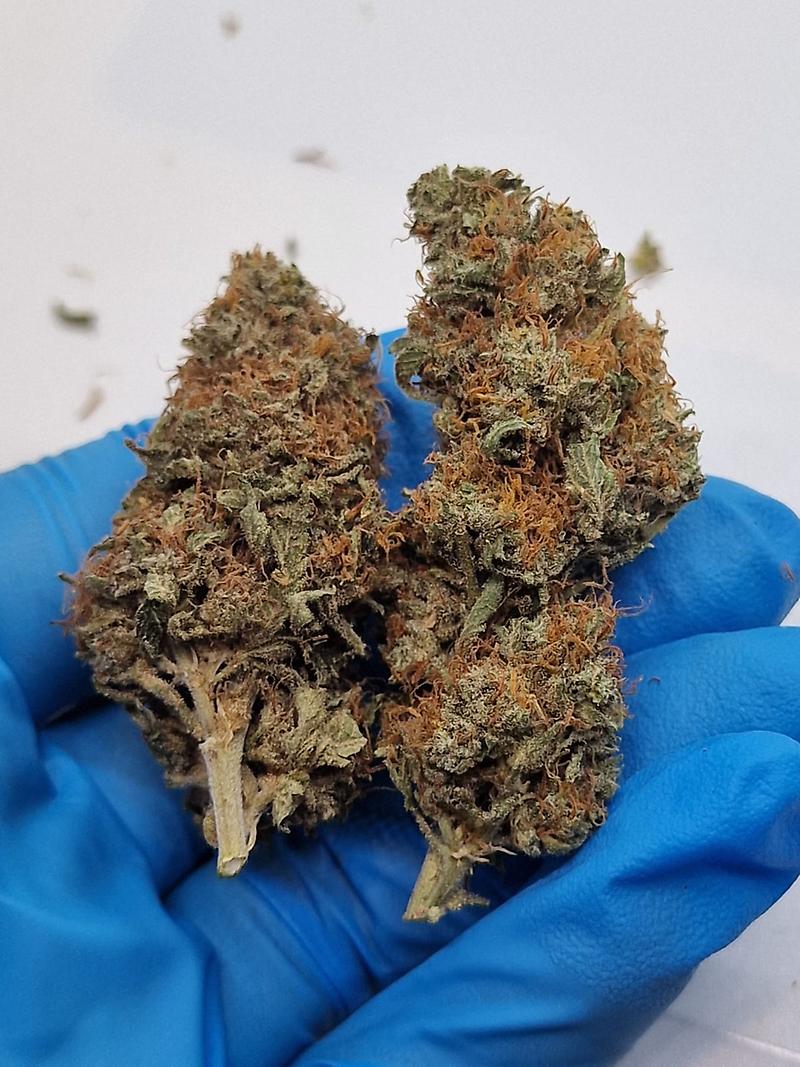 Cookie Dawg - Perfectly Cured & Flushed - Superb High