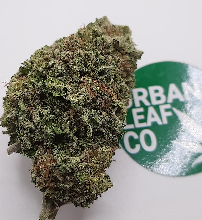 **GREEN GELATO - (FREE RM 1ST CLASS SHIPPING)**