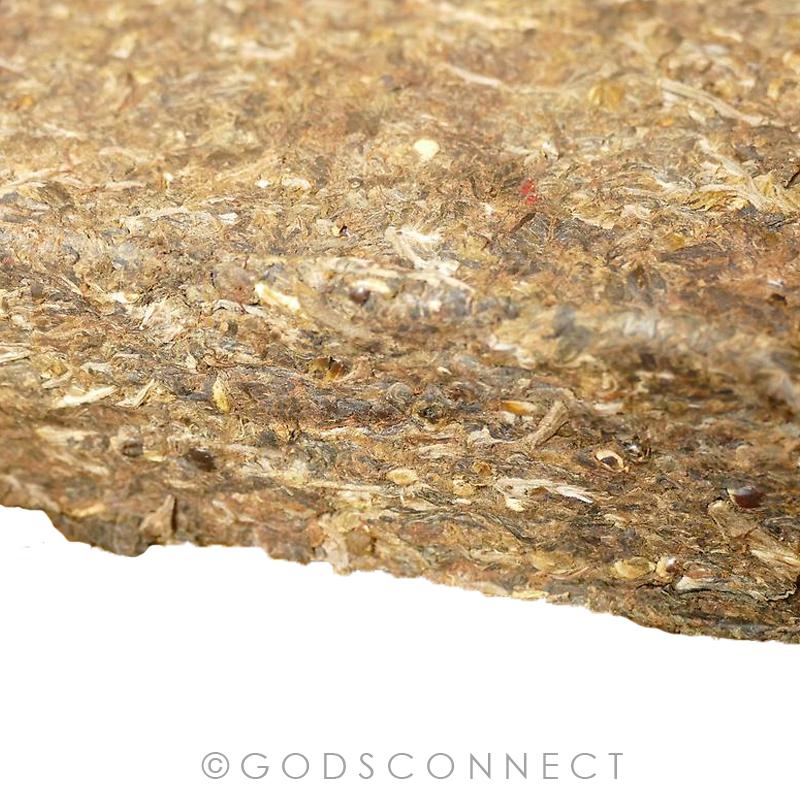 Disciple Grade: Sweet Fruity and Resinous Jamaican Sess